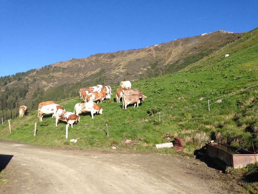 Hanserhof Zell am Ziller Exteriör bild