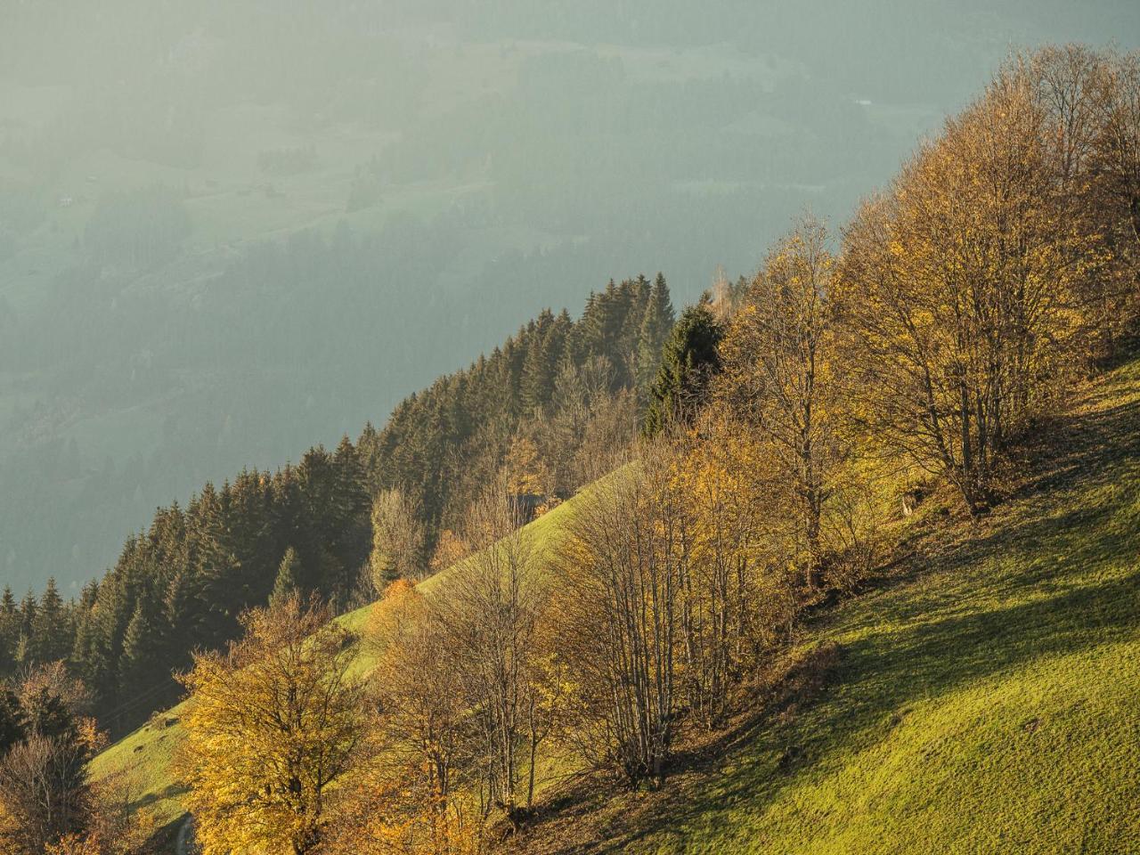 Hanserhof Zell am Ziller Exteriör bild